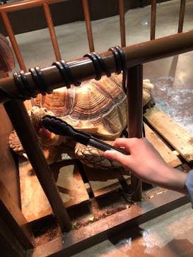 Moff animal world MARK IS みなとみらい店に投稿された画像（2021/11/9）