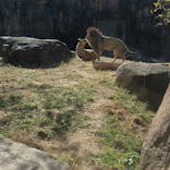 天王寺動物園に投稿された画像（2021/11/9）