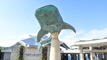沖縄美ら海水族館に投稿された画像（2021/11/9）