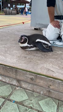 南知多ビーチランド＆南知多おもちゃ王国に投稿された画像（2021/11/9）