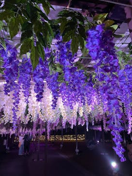 東京メガイルミに投稿された画像（2021/11/9）