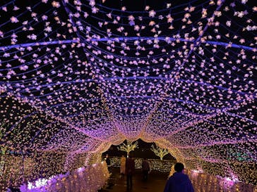 東京メガイルミに投稿された画像（2021/11/9）