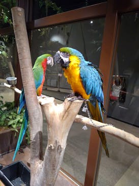 Moff animal world MARK IS みなとみらい店に投稿された画像（2021/11/9）