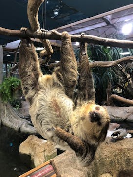 那須どうぶつ王国に投稿された画像（2021/11/9）