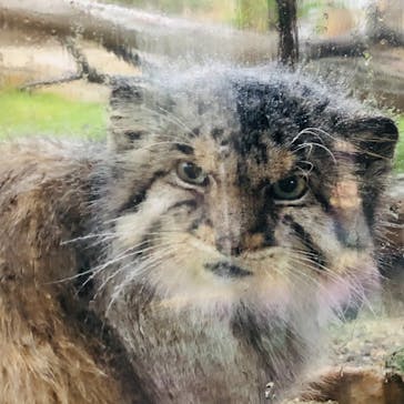 那須どうぶつ王国に投稿された画像（2021/11/9）