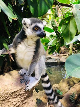 那須どうぶつ王国に投稿された画像（2021/11/9）