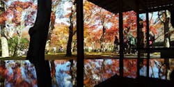 箱根美術館に投稿された画像（2021/11/9）