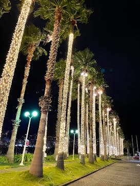 オーシャンスパ Fuuaに投稿された画像（2021/11/9）