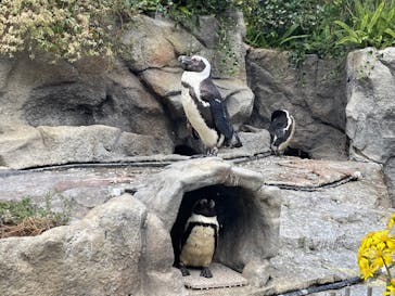 サンシャイン水族館に投稿された画像（2021/11/9）