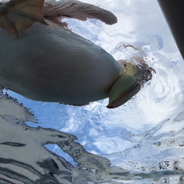 サンシャイン水族館に投稿された画像（2021/11/10）