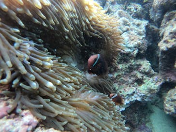 武藤潜水に投稿された画像（2021/11/10）