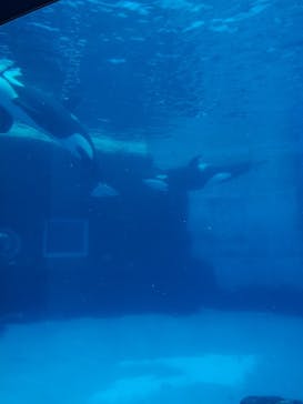 名古屋港水族館に投稿された画像（2021/11/10）