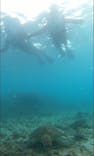 OCEANZ（オーシャンズ）に投稿された画像（2021/11/10）