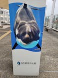 名古屋港水族館に投稿された画像（2021/11/10）
