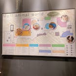 Moff animal world MARK IS みなとみらい店に投稿された画像（2021/11/10）