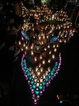 江の島シーキャンドルに投稿された画像（2021/11/10）