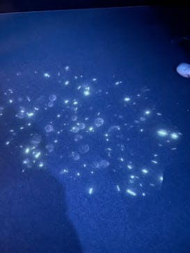 アクアワールド茨城県大洗水族館に投稿された画像（2021/11/10）