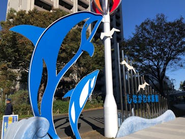 しながわ水族館に投稿された画像（2021/11/10）