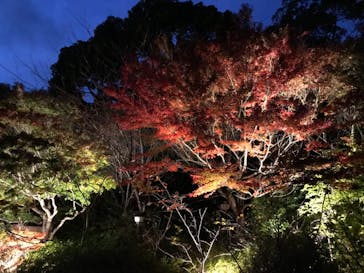 有馬温泉 太閤の湯に投稿された画像（2021/11/10）