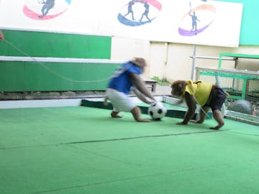 おさるランド＆アニタウン　日光さる軍団劇場に投稿された画像（2021/11/10）