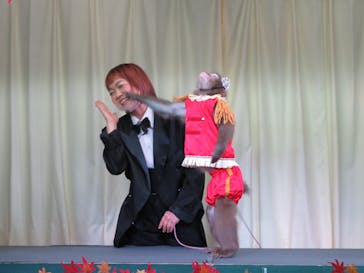 おさるランド＆アニタウン　日光さる軍団劇場に投稿された画像（2021/11/10）