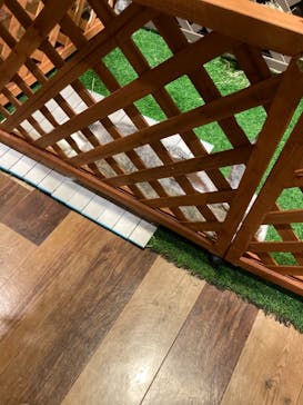 Moff animal world MARK IS みなとみらい店に投稿された画像（2021/11/10）