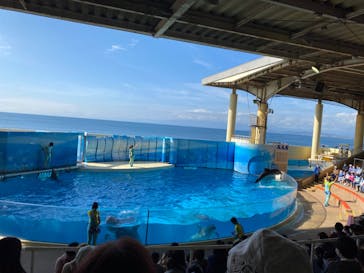 新江ノ島水族館に投稿された画像（2021/11/10）