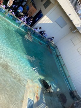 新江ノ島水族館に投稿された画像（2021/11/10）