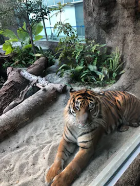 神戸どうぶつ王国に投稿された画像（2021/11/10）