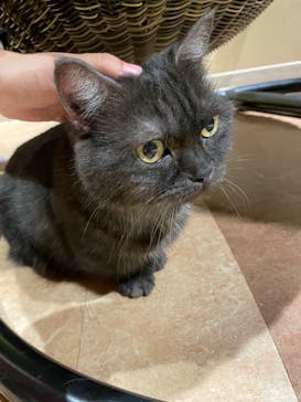 Moff animal world MARK IS みなとみらい店に投稿された画像（2021/11/10）