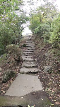 伊豆パノラマパークに投稿された画像（2021/11/10）