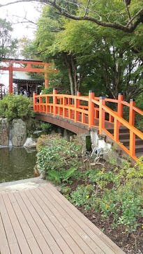 伊豆パノラマパークに投稿された画像（2021/11/10）