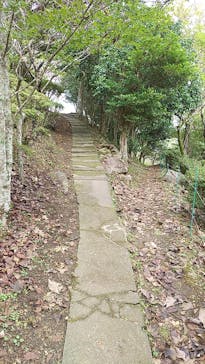 伊豆パノラマパークに投稿された画像（2021/11/10）