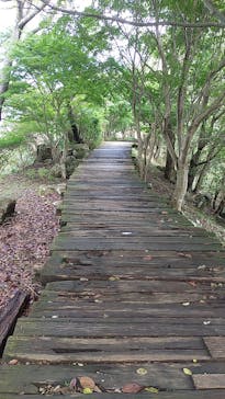 伊豆パノラマパークに投稿された画像（2021/11/10）