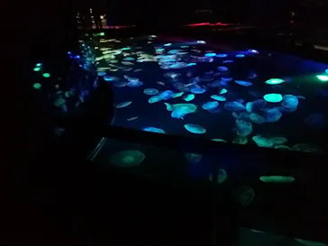 すみだ水族館に投稿された画像（2021/11/10）