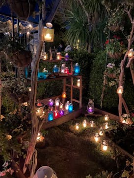 江の島シーキャンドルに投稿された画像（2021/11/10）