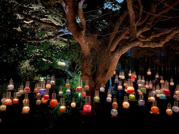 江の島シーキャンドルに投稿された画像（2021/11/10）