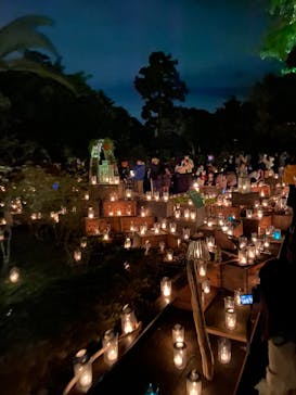 江の島シーキャンドルに投稿された画像（2021/11/10）