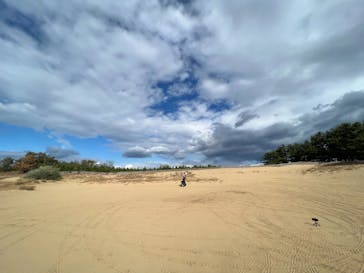 鳥取砂丘セグウェイ ワイルドアドベンチャーツアーに投稿された画像（2021/11/10）