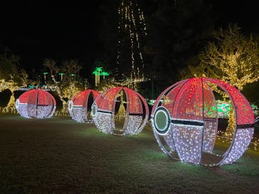 美らヤシパークオキナワ・東南植物楽園に投稿された画像（2021/11/10）