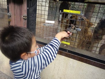 群馬サファリパークに投稿された画像（2021/11/11）