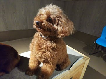 Moff animal world MARK IS みなとみらい店に投稿された画像（2021/11/11）