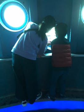 串本海中公園水族館に投稿された画像（2021/11/11）