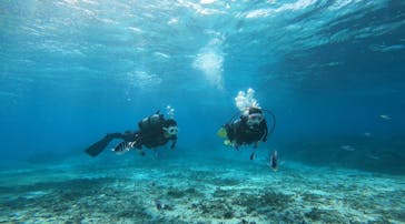 青の洞窟専門店　沖縄ダイビングショップ和に投稿された画像（2021/11/11）