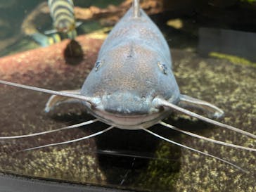 サンシャイン水族館に投稿された画像（2021/11/11）