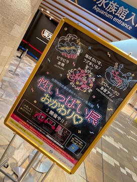 サンシャイン水族館に投稿された画像（2021/11/11）