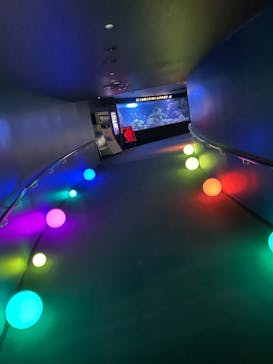 サンシャイン水族館に投稿された画像（2021/11/11）