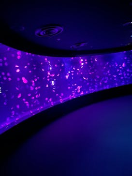 サンシャイン水族館に投稿された画像（2021/11/11）