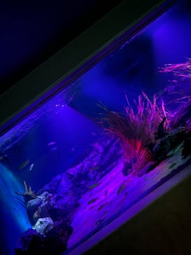 サンシャイン水族館に投稿された画像（2021/11/11）