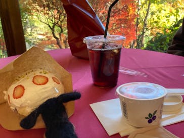 河口湖 音楽と森の美術館に投稿された画像（2021/11/11）